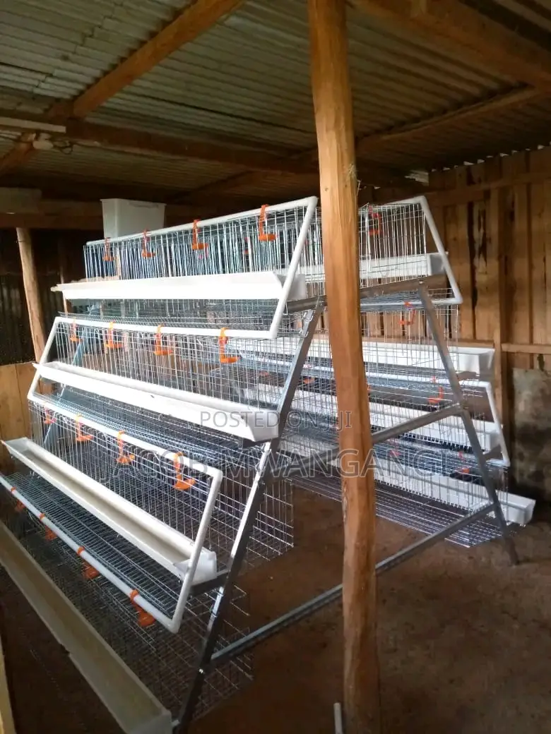 Chicken Cage