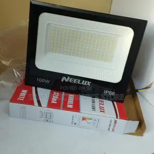 Affordable 100w Ac Electric Floodlight Cheaply Priced 100 W