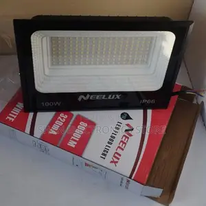 100w Ac Electric Floodlight Neelux Moderately Priced Light