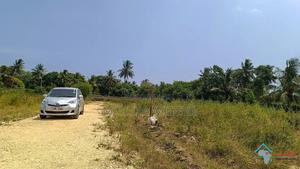Prime Plots in Mtwapa, 2.7 Km From Kilifi - Mtwapa Highway - thumbnail 2