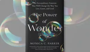 The Power of Wonder by Monica Parker