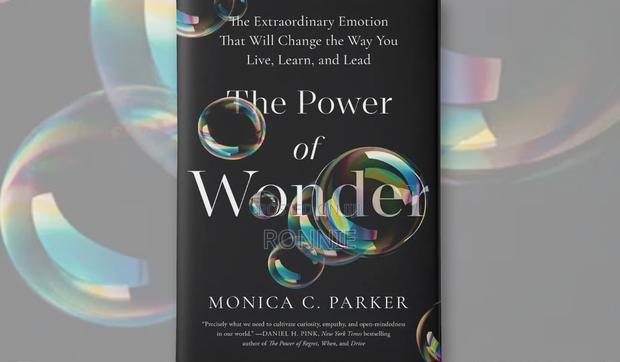 The Power of Wonder by Monica Parker