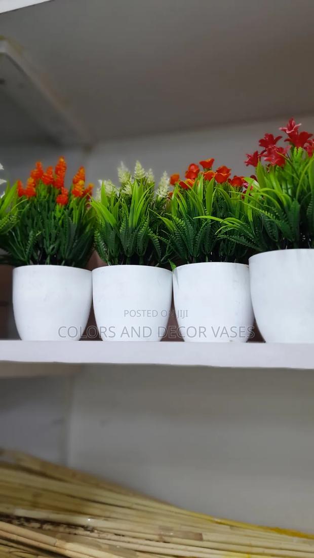 Bonsai Flowers Variety Available - main view