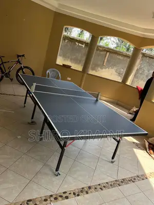 Great Quality Table Tennis