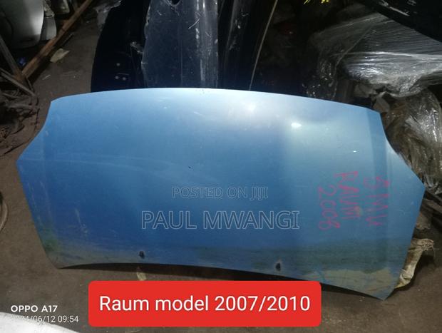 Bonnet Raum Model 2007/2010