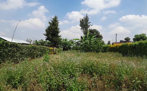 50 by 100 Plot for Sale