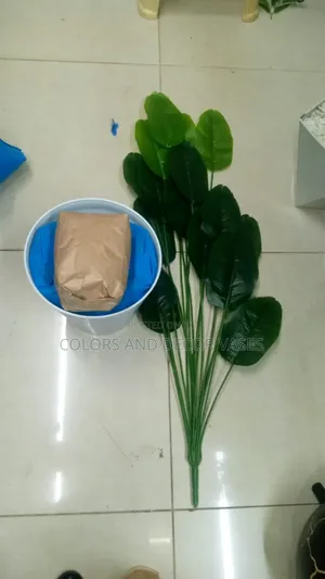 Banana Plant and Vase With Pebble Stones 