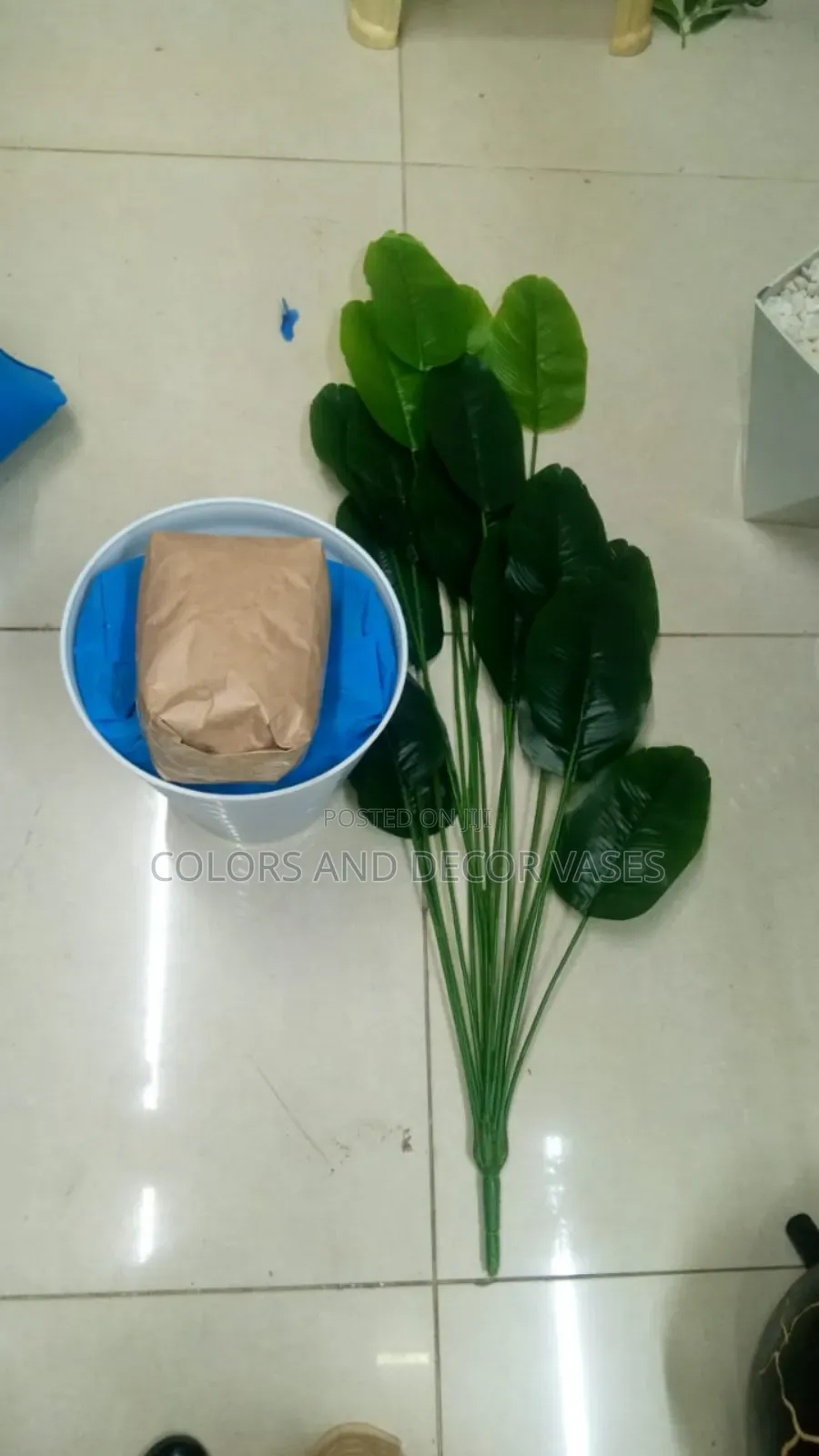 Banana Plant and Vase With Pebble Stones 