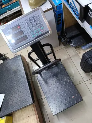 Rechargeable 150kg Scale