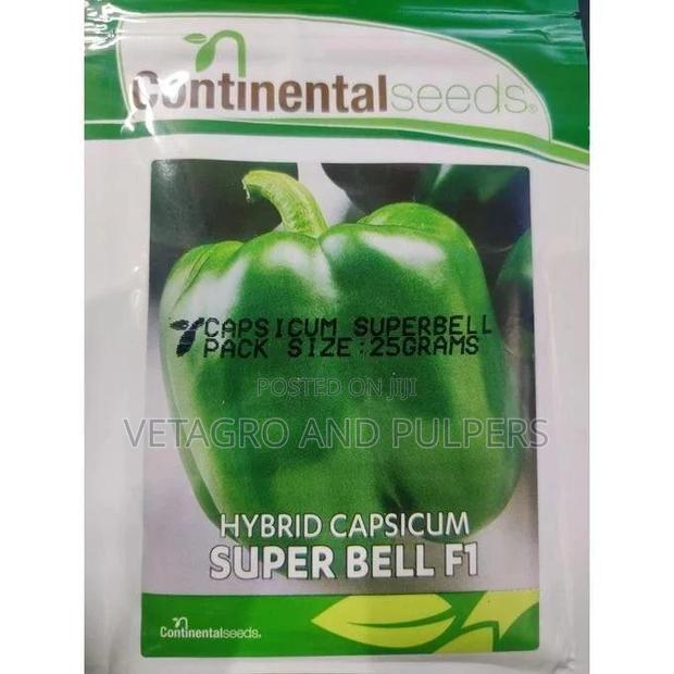 Continental Hybrid Capsicum Super Bell F1 (Hoho)