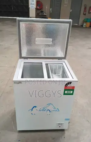 Nice Icecool 119 Litres Deep Freezer at 22000