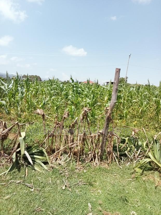 Plot on Sale at Kayole Naivasha - thumbnail 2