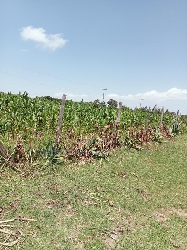 Plot on Sale at Kayole Naivasha - thumbnail 3