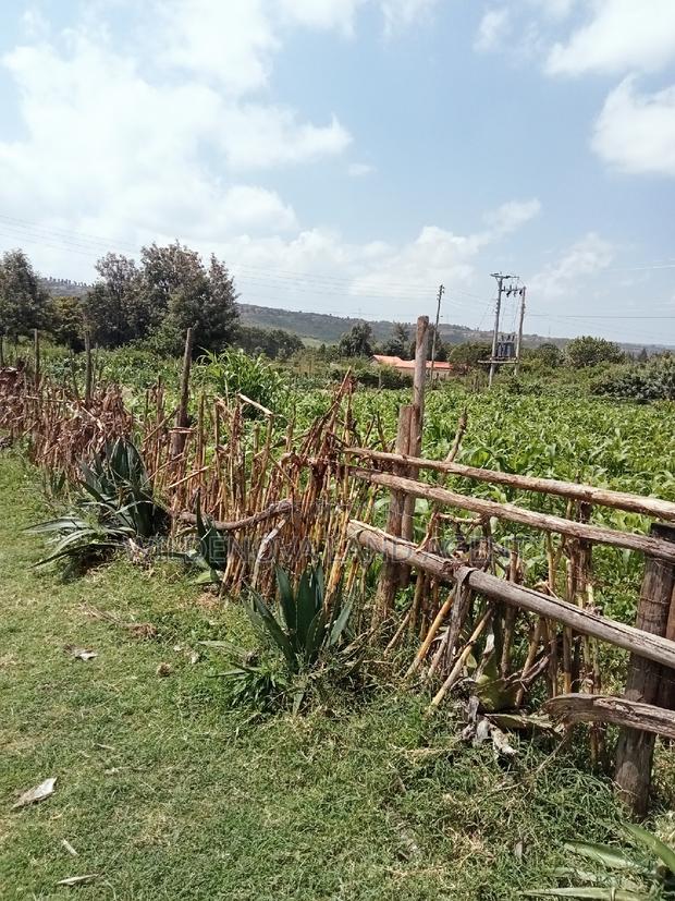 Plot on Sale at Kayole Naivasha - thumbnail 4