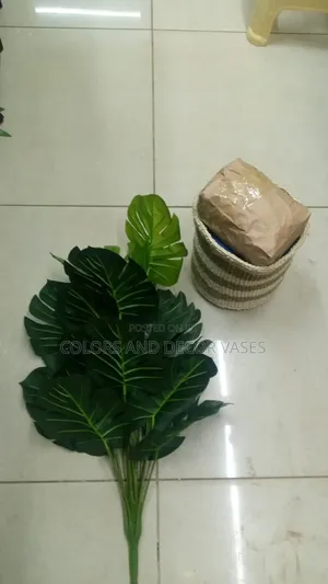 Basket, Monstera Plant and Decorative Stones