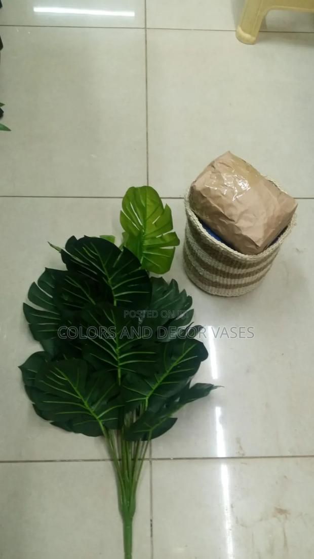Basket, Monstera Plant and Decorative Stones