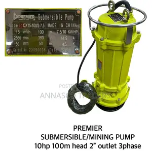 Premier Submersible 10hp 100M Head