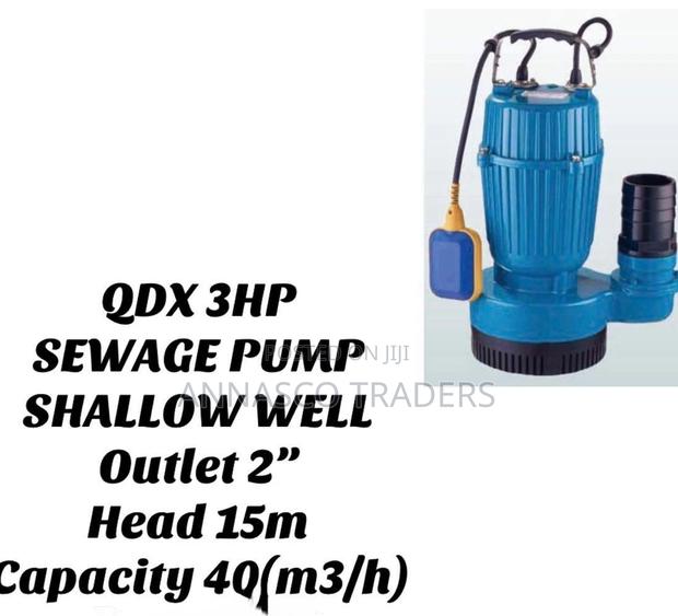 Sewage Pump Shallow Well Outlet 2" - main view