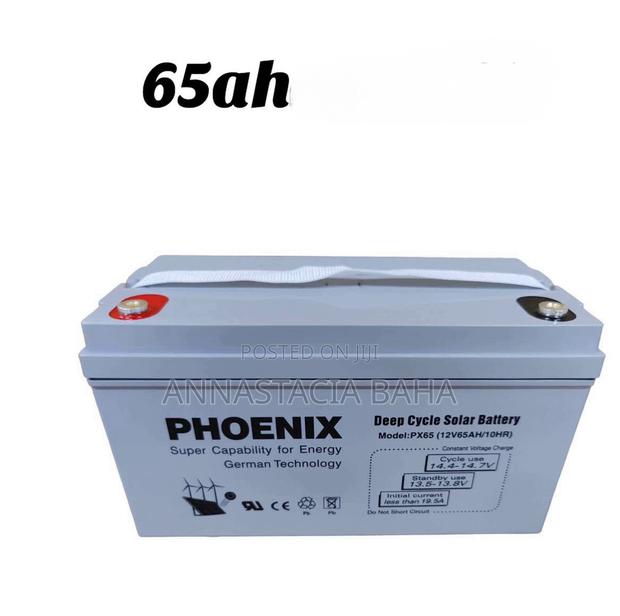 Original Phoenix 65 Ah Solar Battery - main view