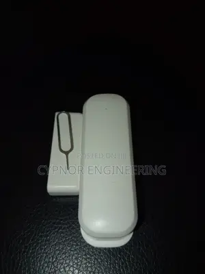 Check Door Sensor Status Anywhere