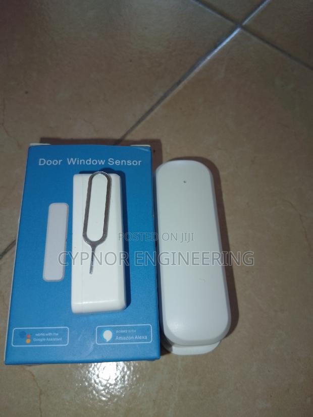 Monitor Door Sensor in Real Time - main view