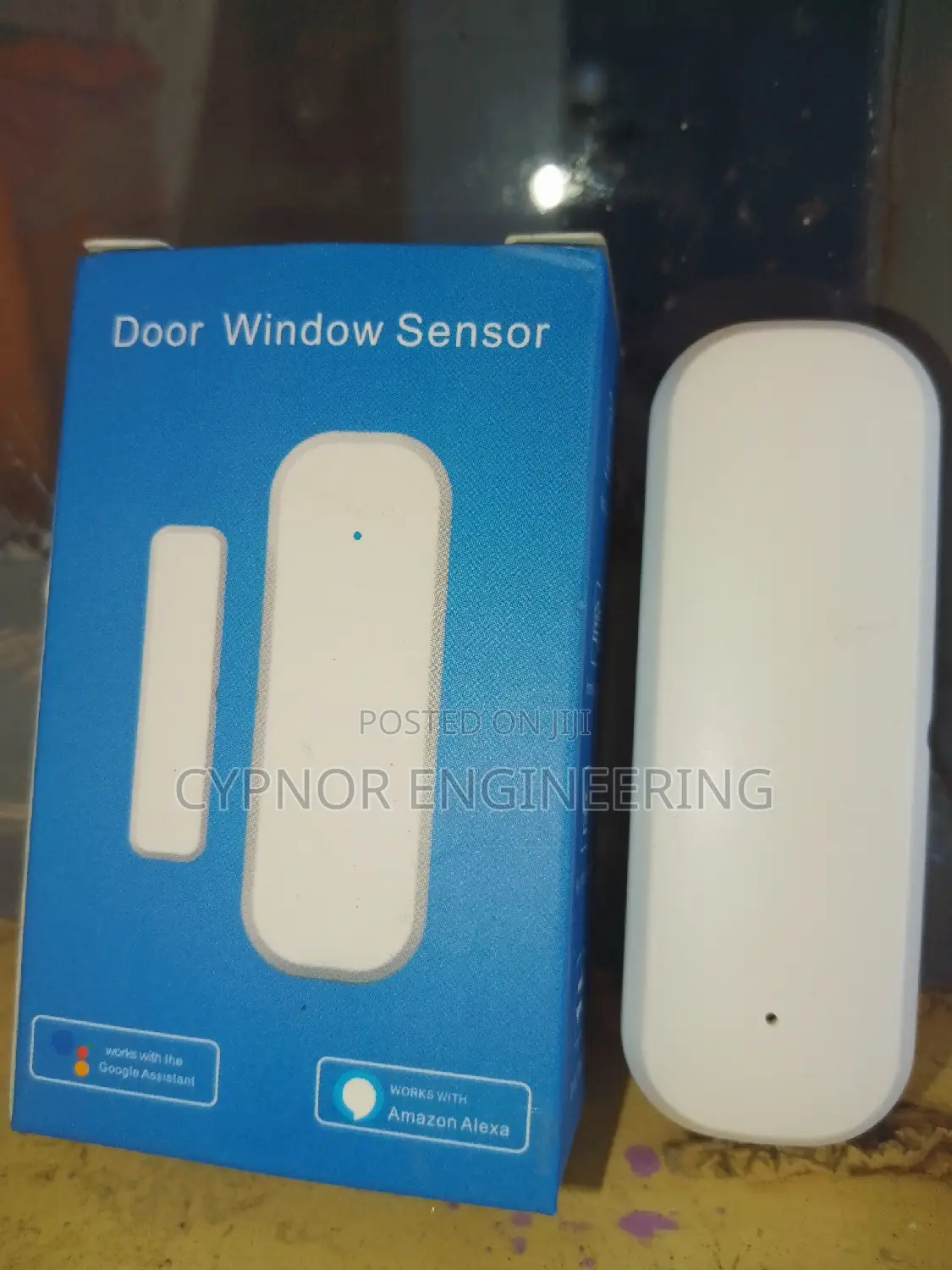 Check Smart Door Sensor From Anywhere