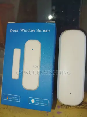 Check Smart Door Sensor From Anywhere