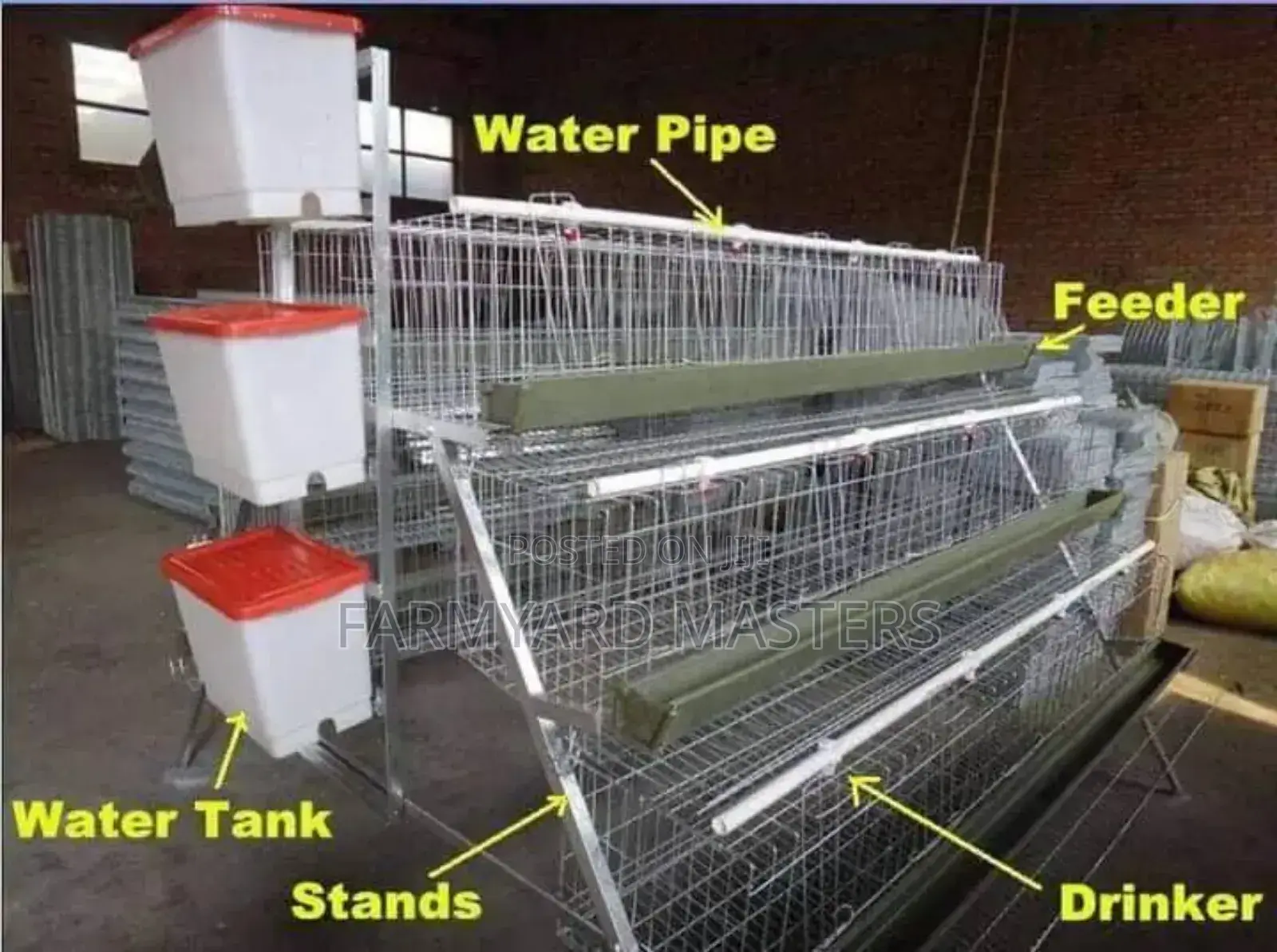 Chicken Cages