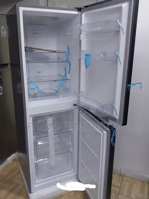 Roch 230L Refrigerator -Bottom Freezer Silver
