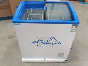 Amazing 159 Litres Display Freezer