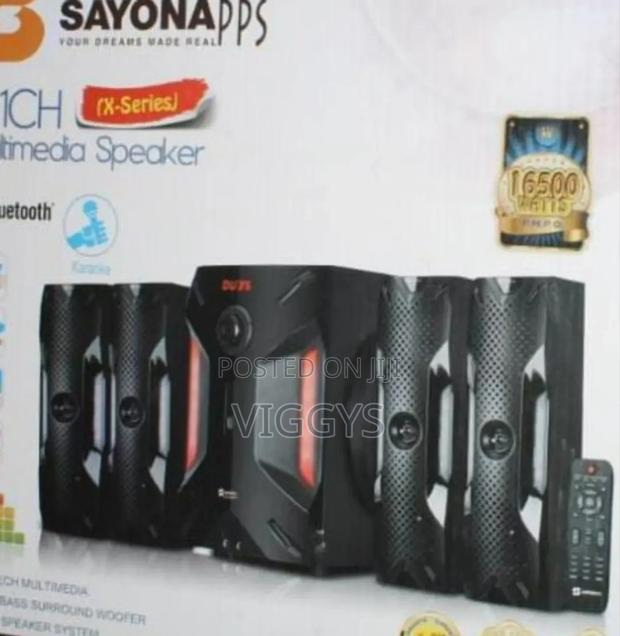 Brand New*Sayona 4.1 1206