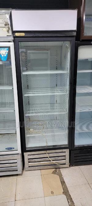 Display Fridge 600L - main view