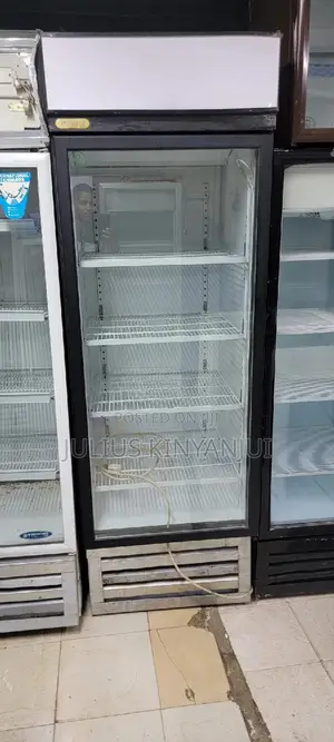 Display Fridge 600L