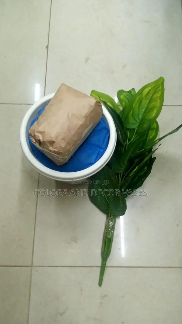 Plant,Vase And Pebble Stones On Offer