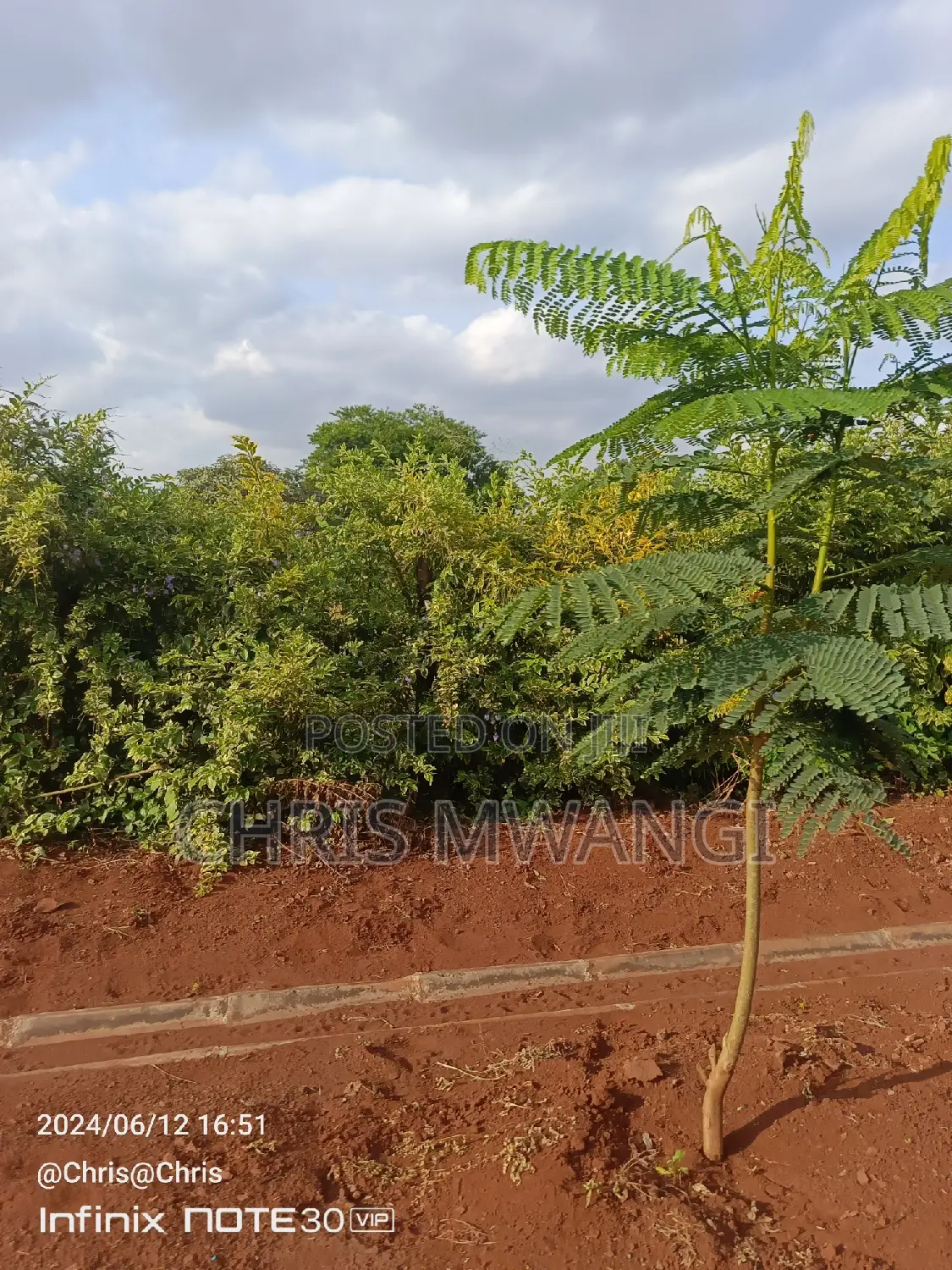 A Quarter an Acre Plot for Sale at Ruiru Daykio Bustani