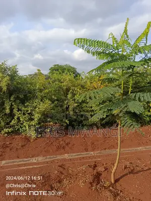 A Quarter an Acre Plot for Sale at Ruiru Daykio Bustani