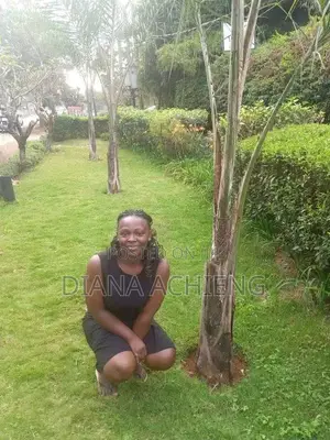 Am Looking for a CV Housekeeping,L Do Good Job