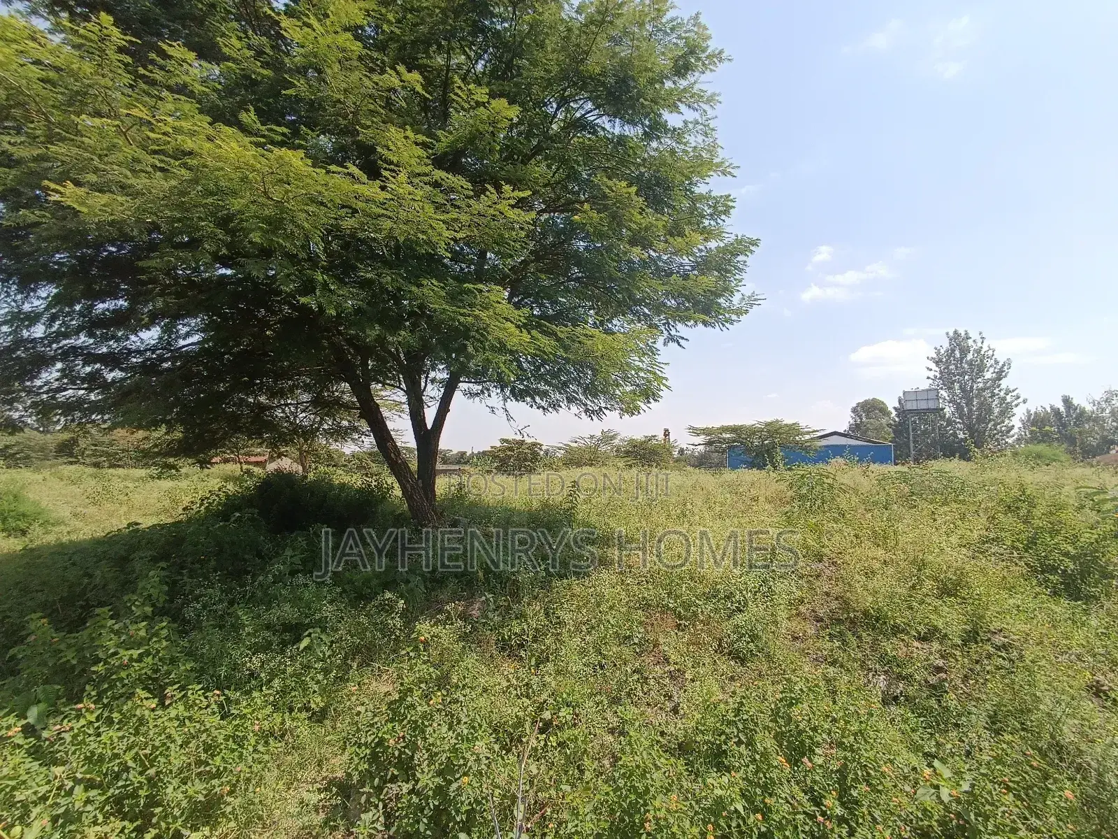 1 and 3/4 Acre Plot of Land for Sale in Kamakis at Kes 100M
