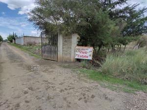 Plots Nanyuki - Quarter Acre (2 Plots) - thumbnail 2