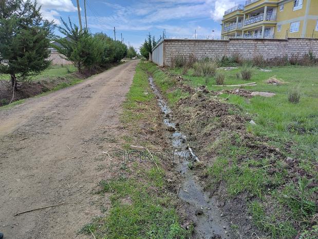 Plots Nanyuki - Quarter Acre (2 Plots) - thumbnail 2