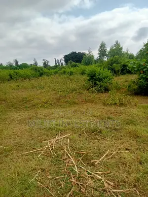 2 Acres of Land on Sale at Makutano