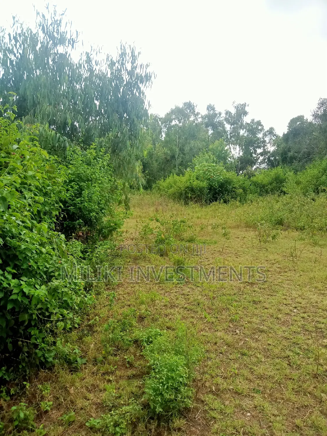 2 Acres of Land on Sale at Makutano