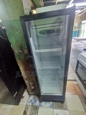 Display Fridge 300L - main view
