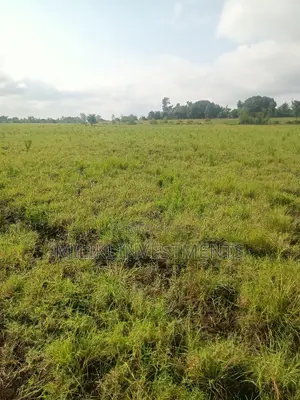 2 Acres of Land on Sale at Makutano