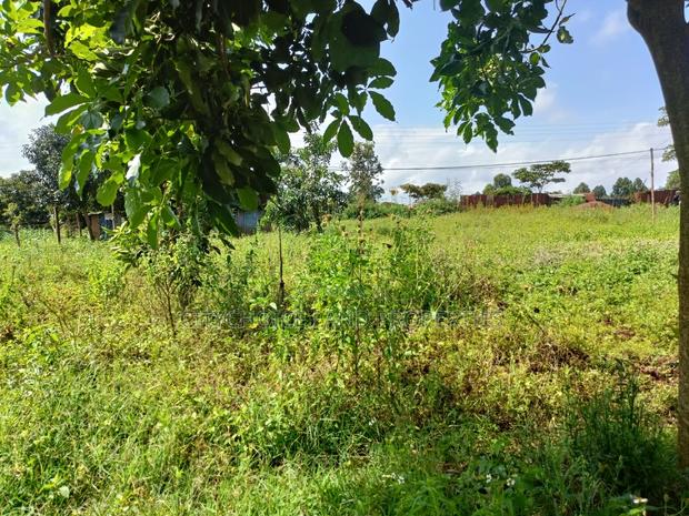Prime Plot for Sale in Gikambura - thumbnail 4