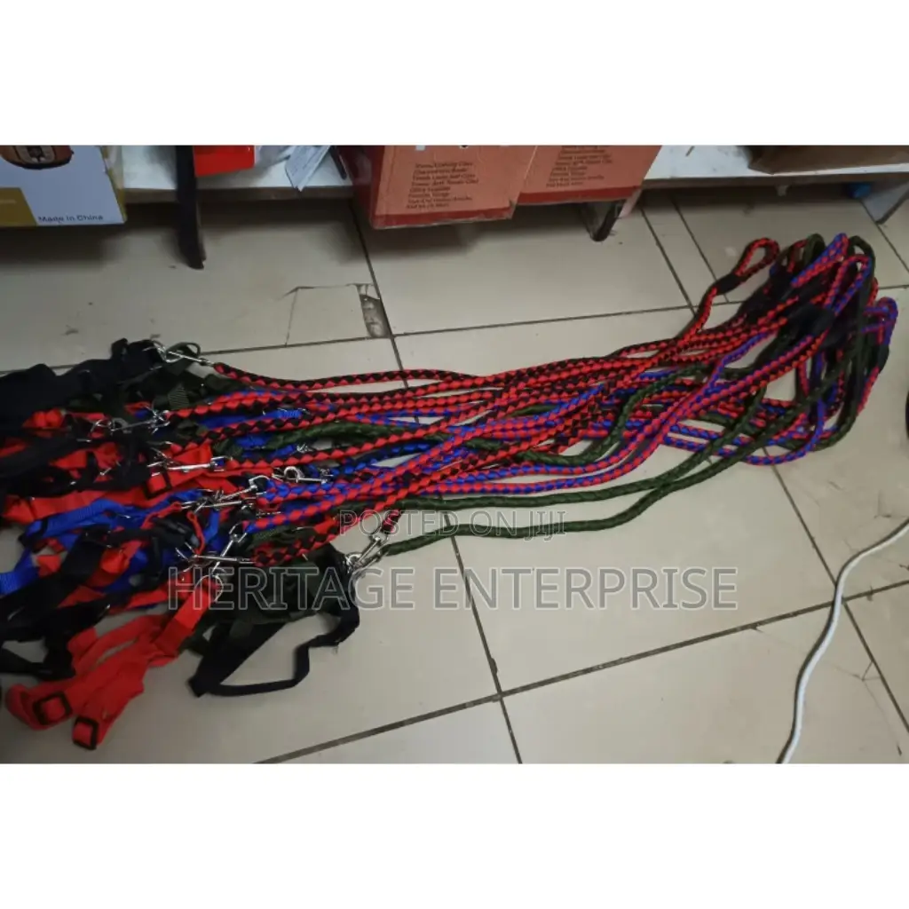 Dog Leash Dog Pet Harness Leash
