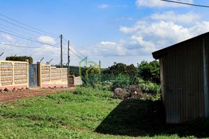 50x100 Gikambura Plot for Sale - thumbnail 2