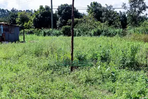 50by100ft Plot for Sale in Gikambura