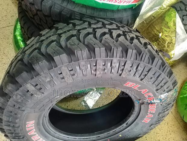 265/75r16 Blackbear Mud Terrain