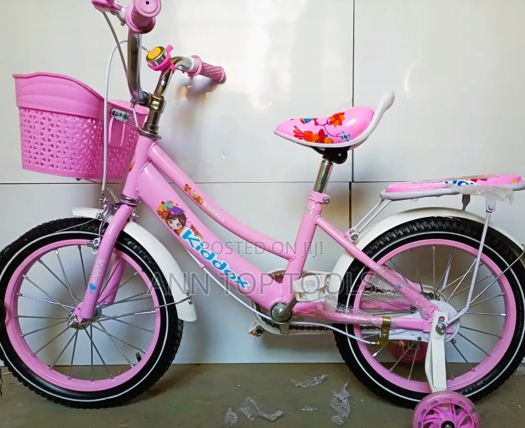 Pink Ladies Bike Size 20